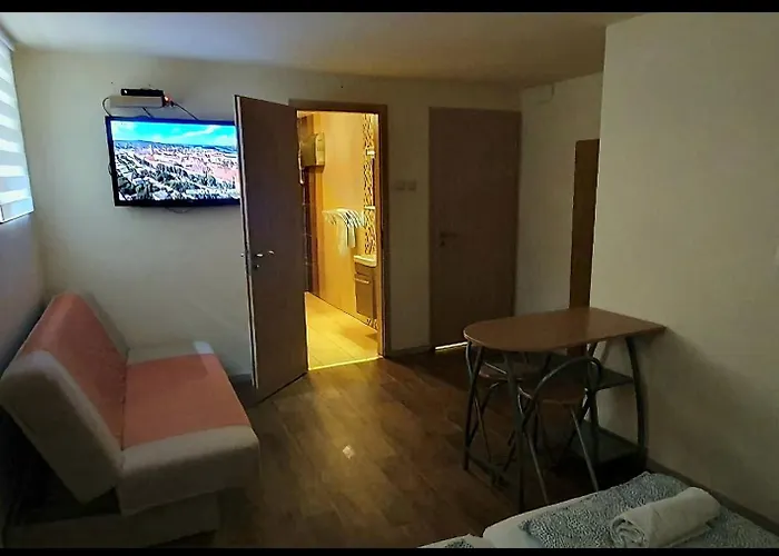 Pozsonyifirst Privat Margit Bridge Budapest